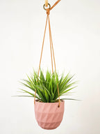 Virago Modern Hanging Planter- Grid by Ash & Rose