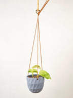 Virago Modern Hanging Planter- Grid by Ash & Rose