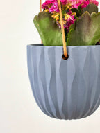 Virago Modern Hanging Planter- Waves by Ash & Rose