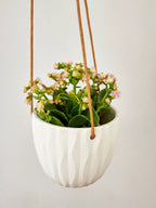 Virago Modern Hanging Planter- Waves by Ash & Rose