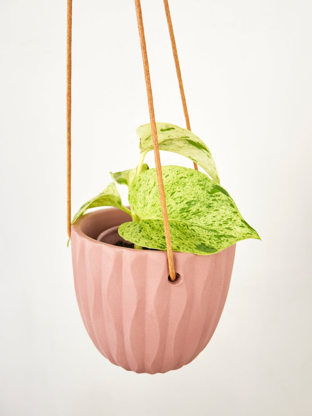 Virago Modern Hanging Planter - Waves