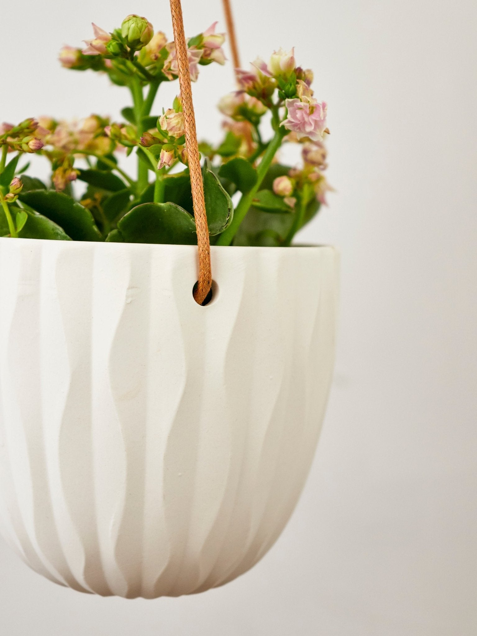 Virago Modern Hanging Planter - Waves