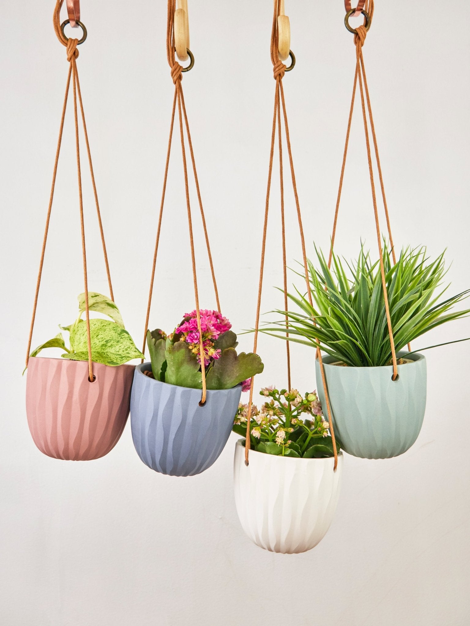 Virago Modern Hanging Planter - Waves