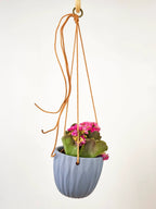 Virago Modern Hanging Planter- Waves by Ash & Rose