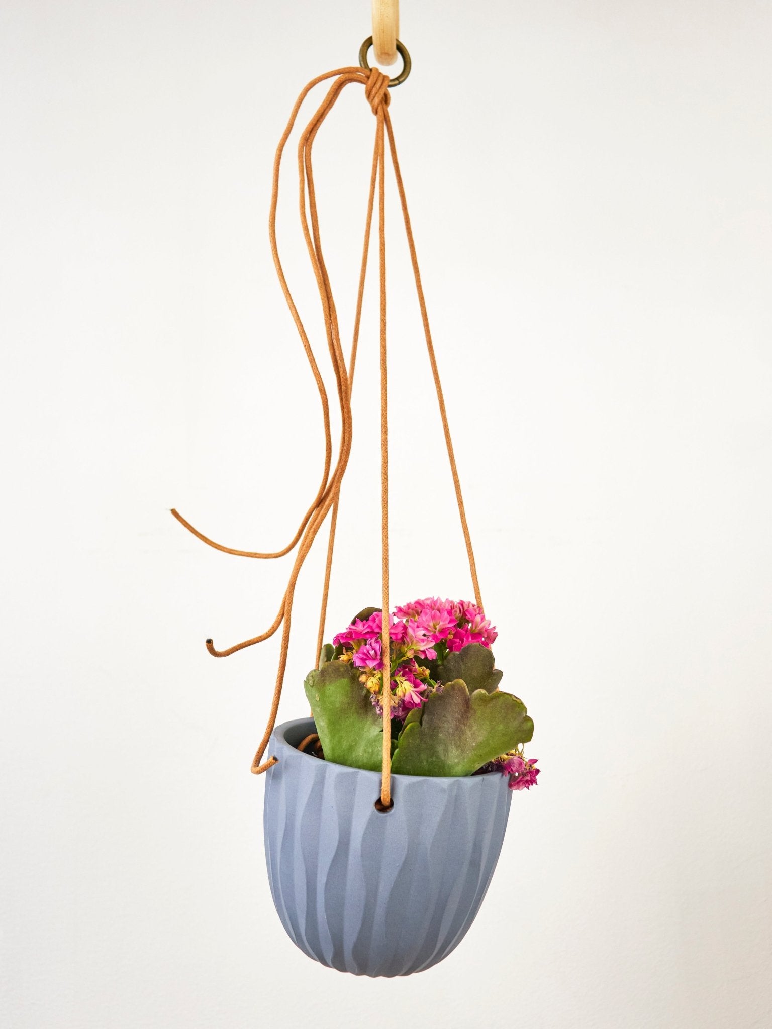 Virago Modern Hanging Planter - Waves