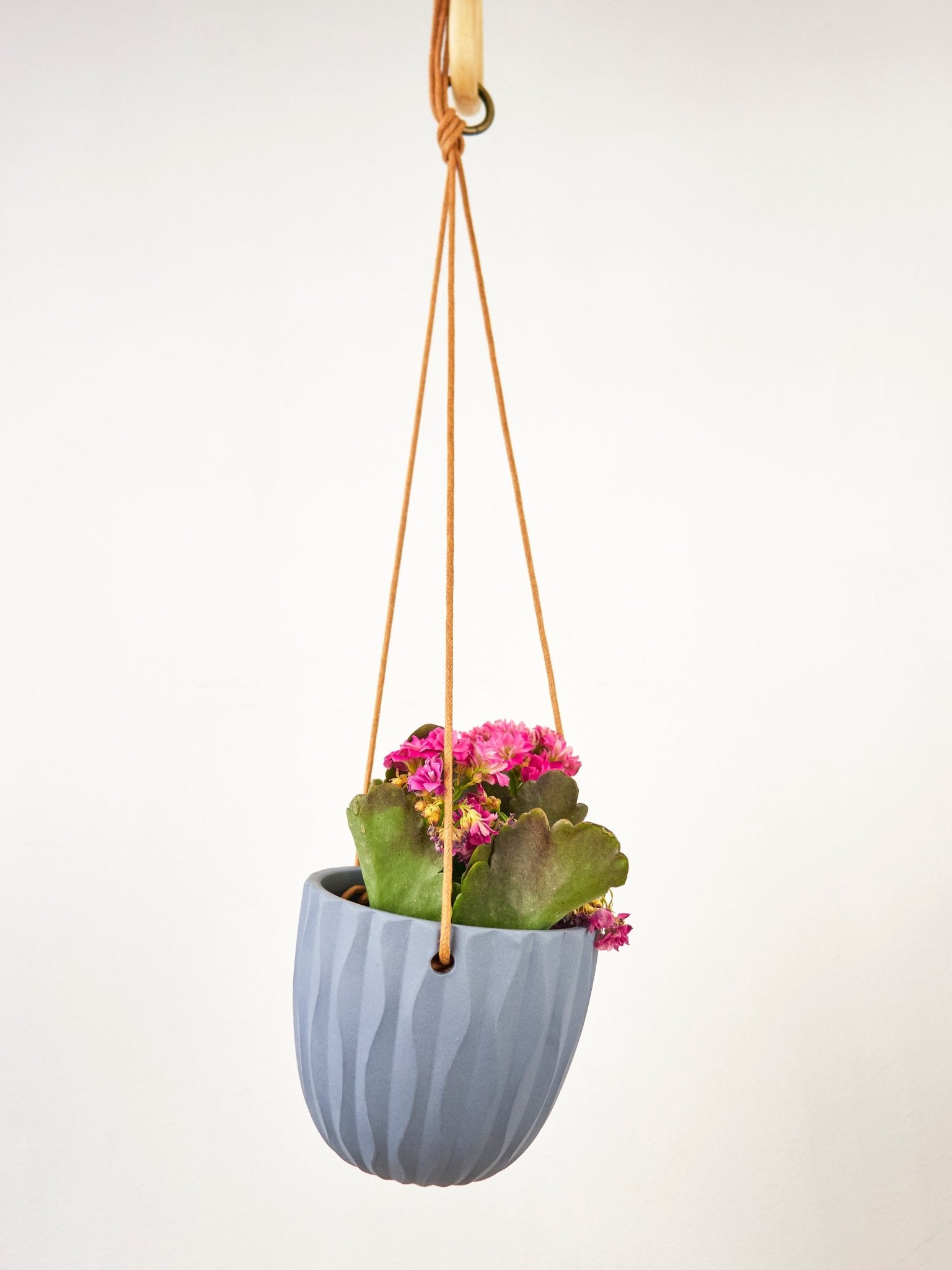 Virago Modern Hanging Planter - Waves