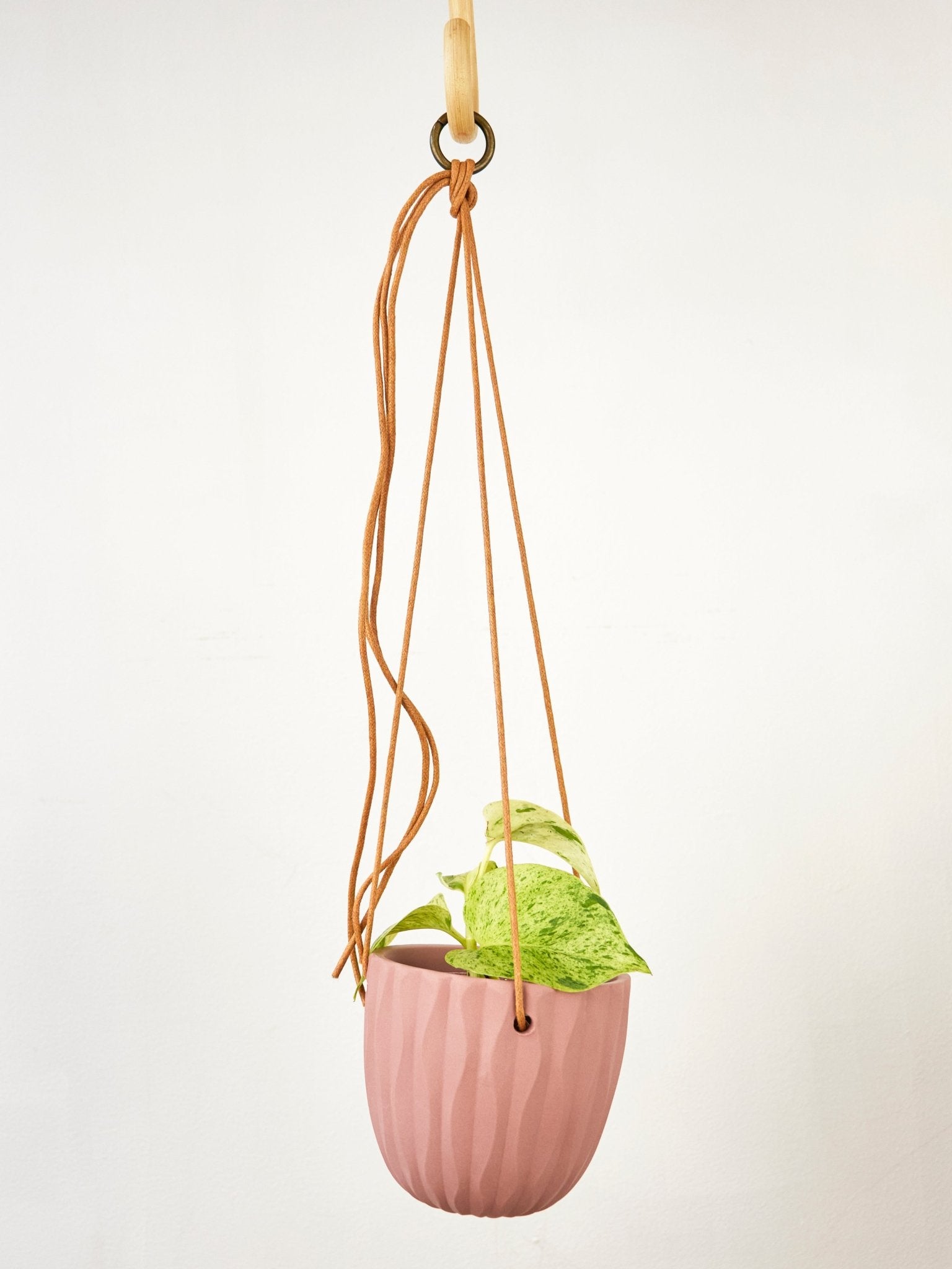 Virago Modern Hanging Planter - Waves