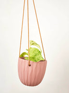 Virago Modern Hanging Planter- Waves by Ash & Rose