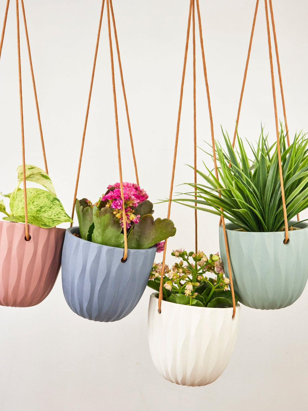 Virago Modern Hanging Planter - Waves
