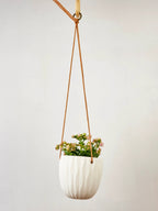 Virago Modern Hanging Planter- Waves by Ash & Rose