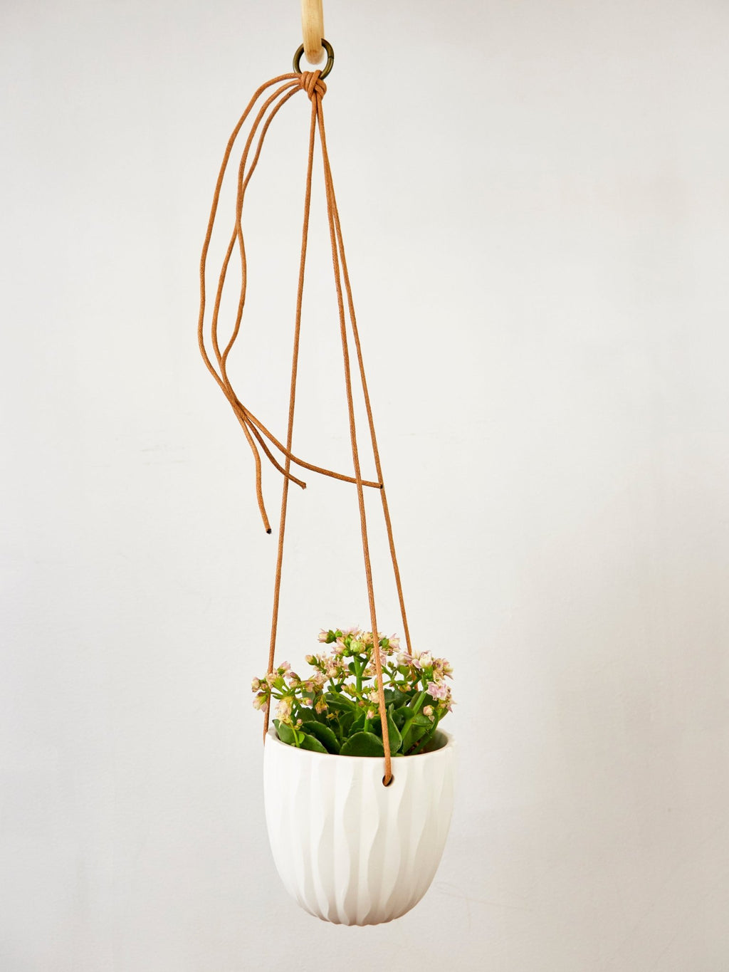 Virago Modern Hanging Planter - Waves