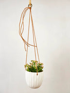 Virago Modern Hanging Planter- Waves by Ash & Rose