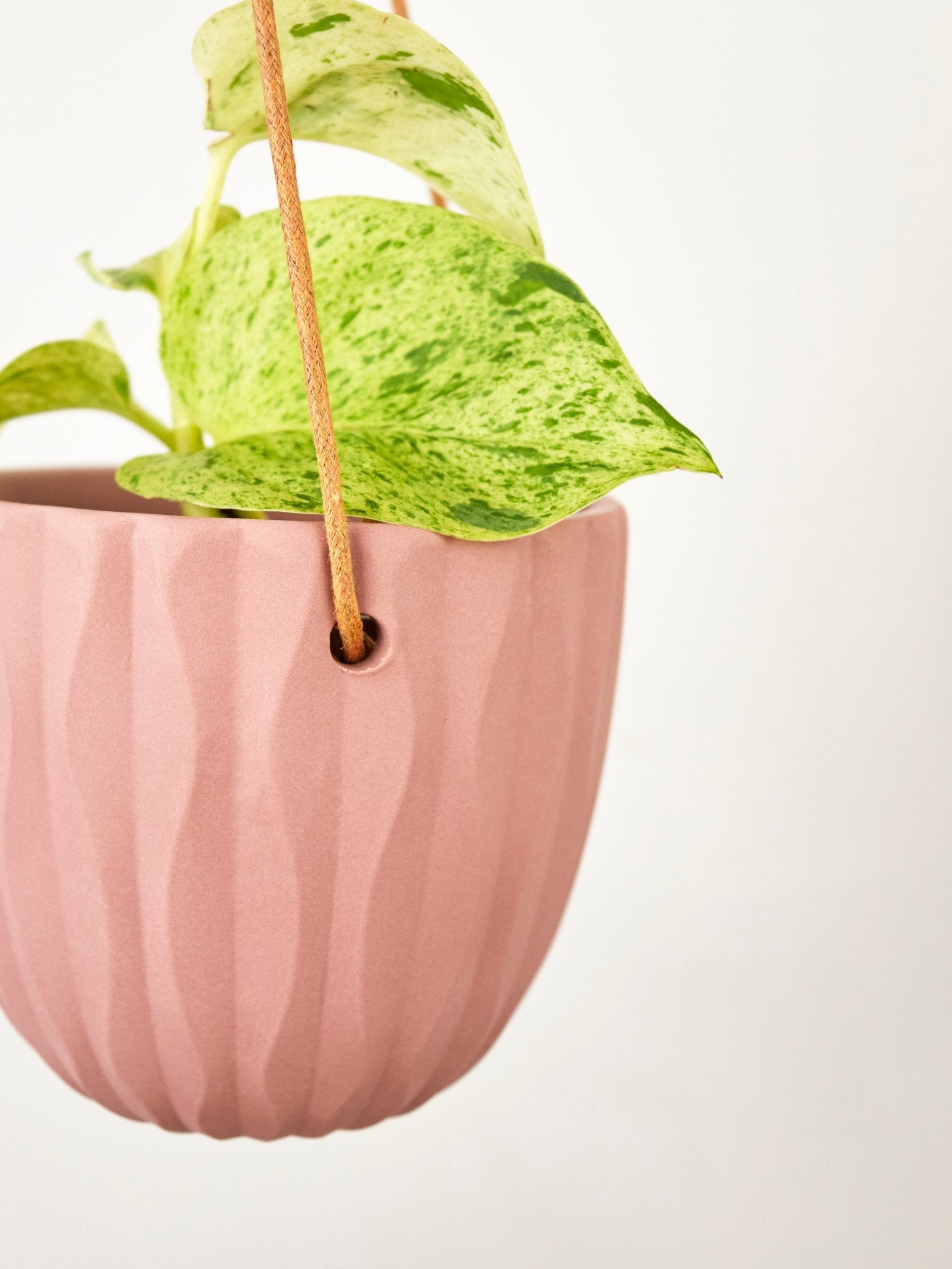 Virago Modern Hanging Planter - Waves