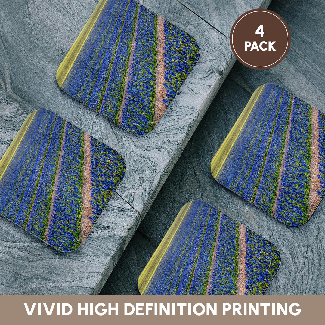 3dRose Danita Delimont - Agriculture - Netherlands, Southern Holland Province, Lisse, hyacinths Fields - Coasters
