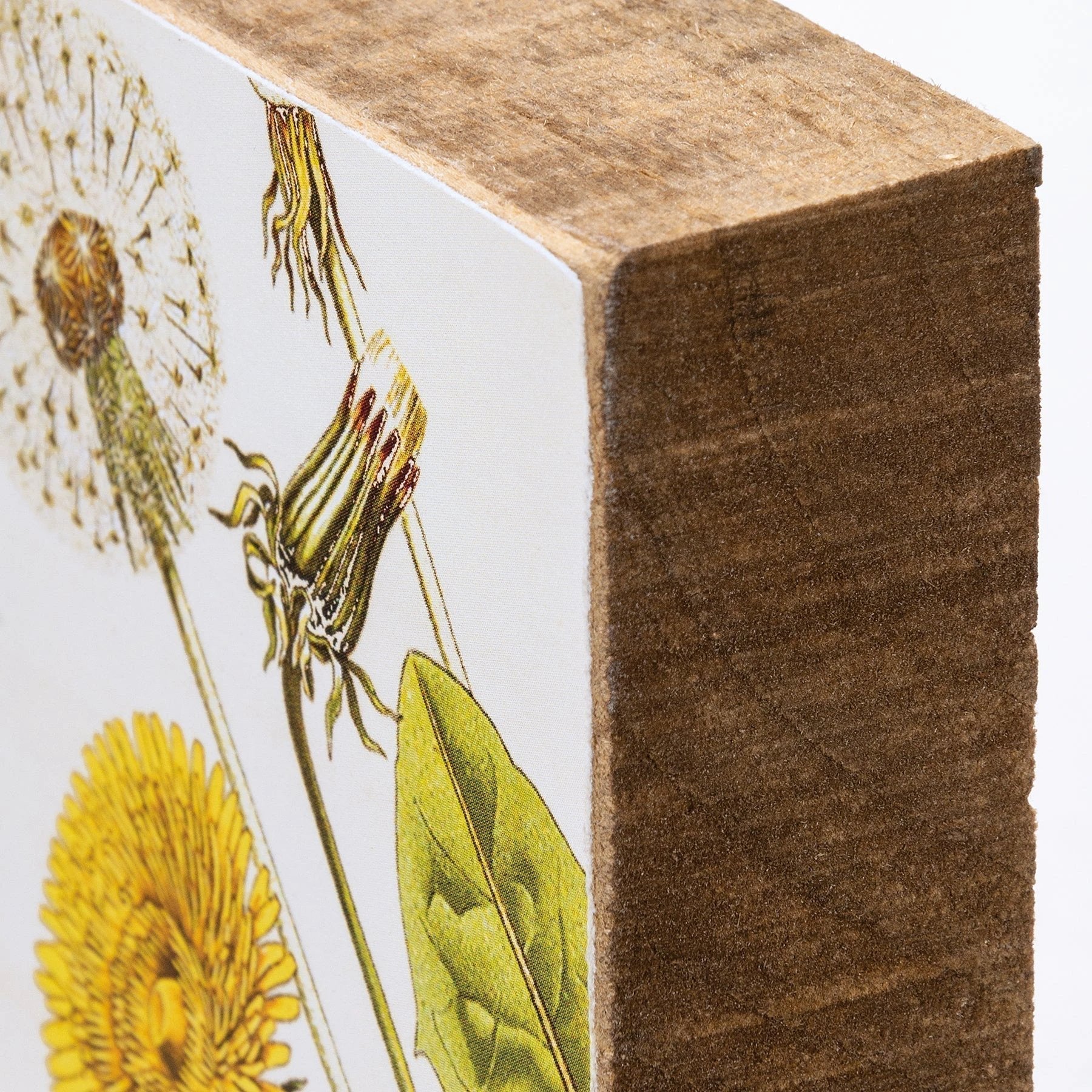 Well That's Just Dandy Dandelion Wooden Block Sign | 4" Square by The Bullish Store