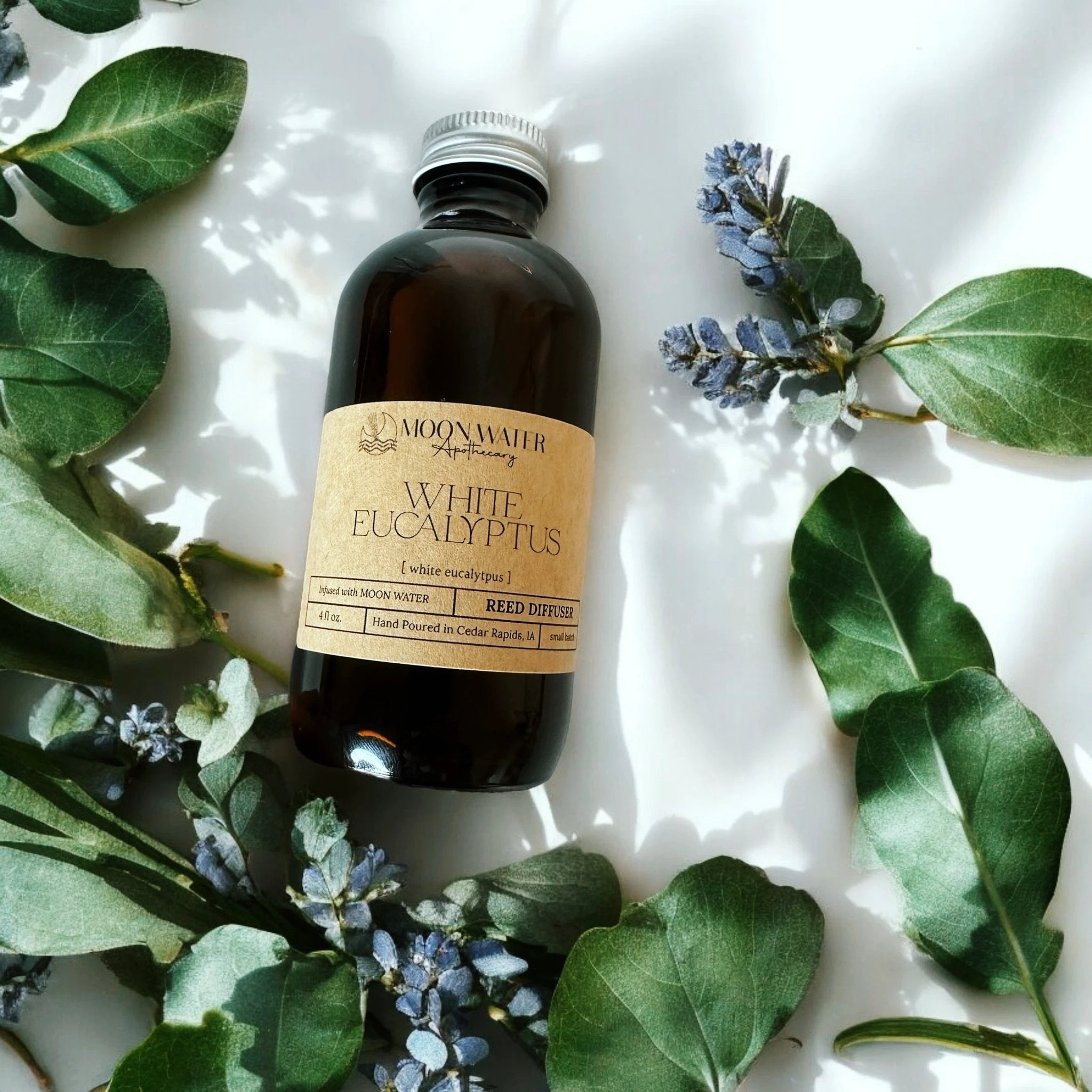 White Eucalyptus - REED DIFFUSER – Fresh Clean Aromatherapy Scent -- by Moon Water Apothecary! by Moon Water Apothecary