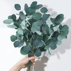 White Eucalyptus - ROOM & LINEN SPRAY, Fresh Clean Aromatherapy Scent - by Moon Water Apothecary!