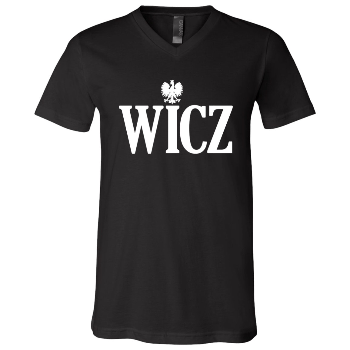 WICZ Polish Surname Ending