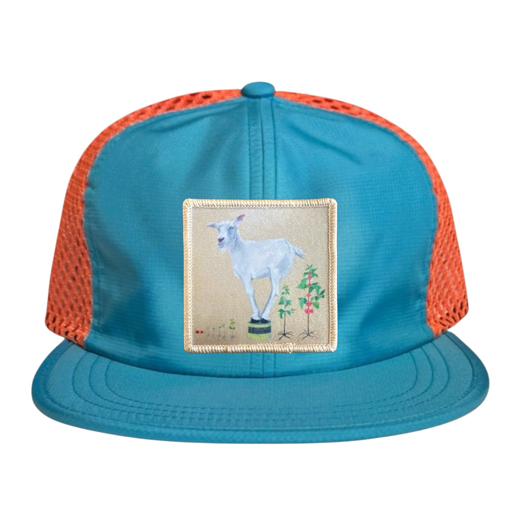 Wide Set Mesh Cap Orange/ Teal Hats La Vie Bien Wide Set Mesh Cap Orange/ Teal