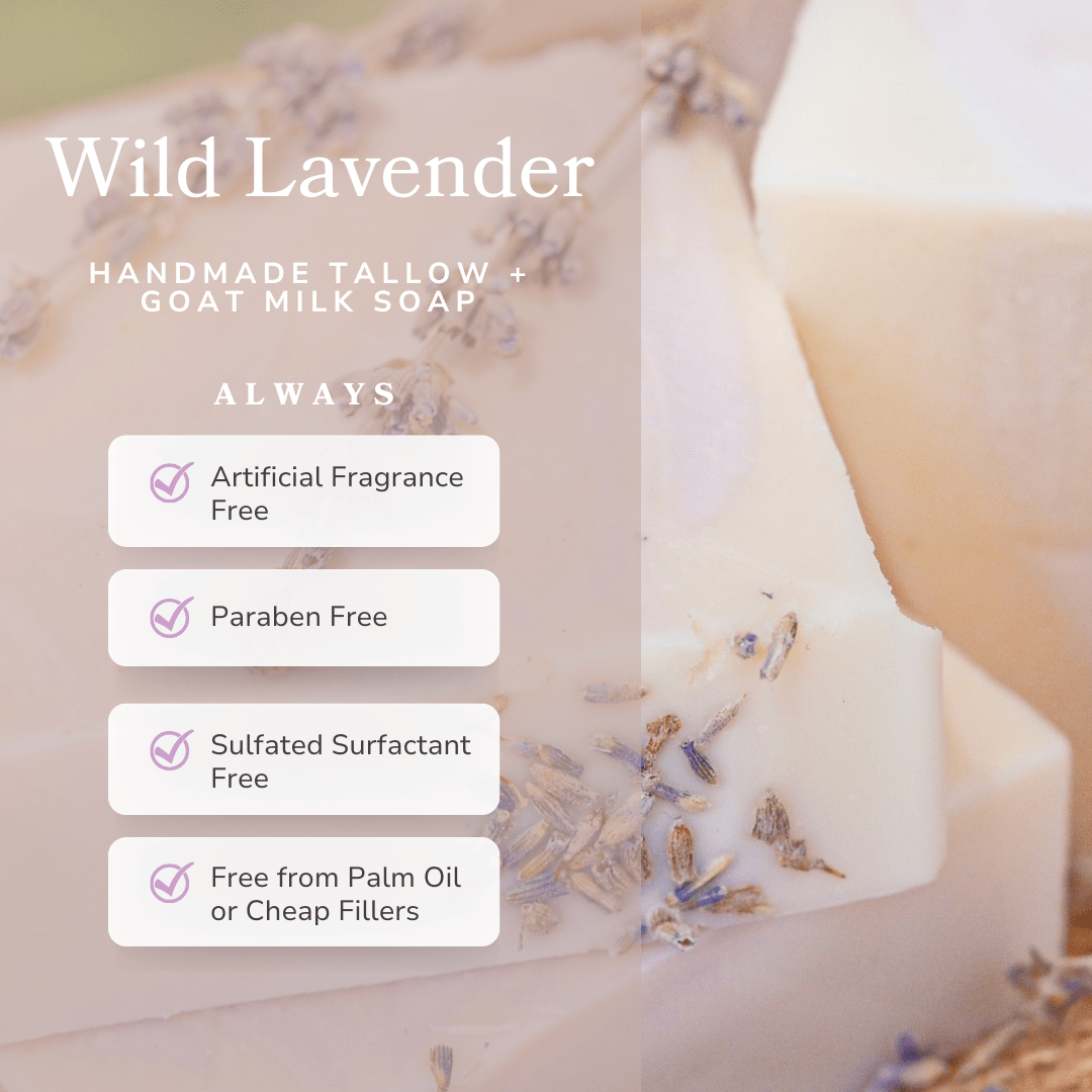 Wild Lavender Handmade Tallow and Goat Milk Soap Bar