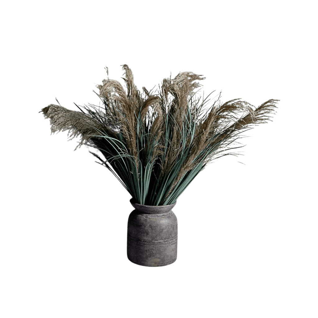 Wild Pampas Grass Stem