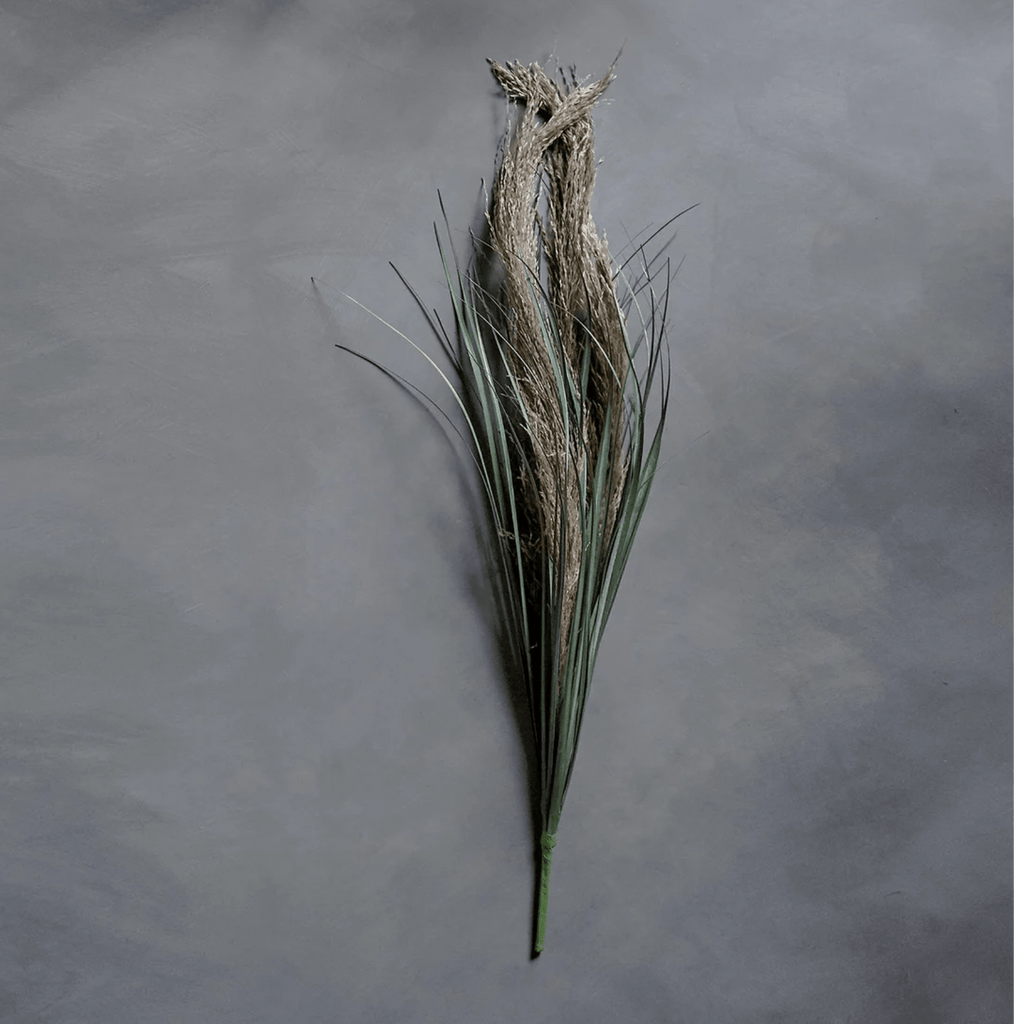 Wild Pampas Grass Stem