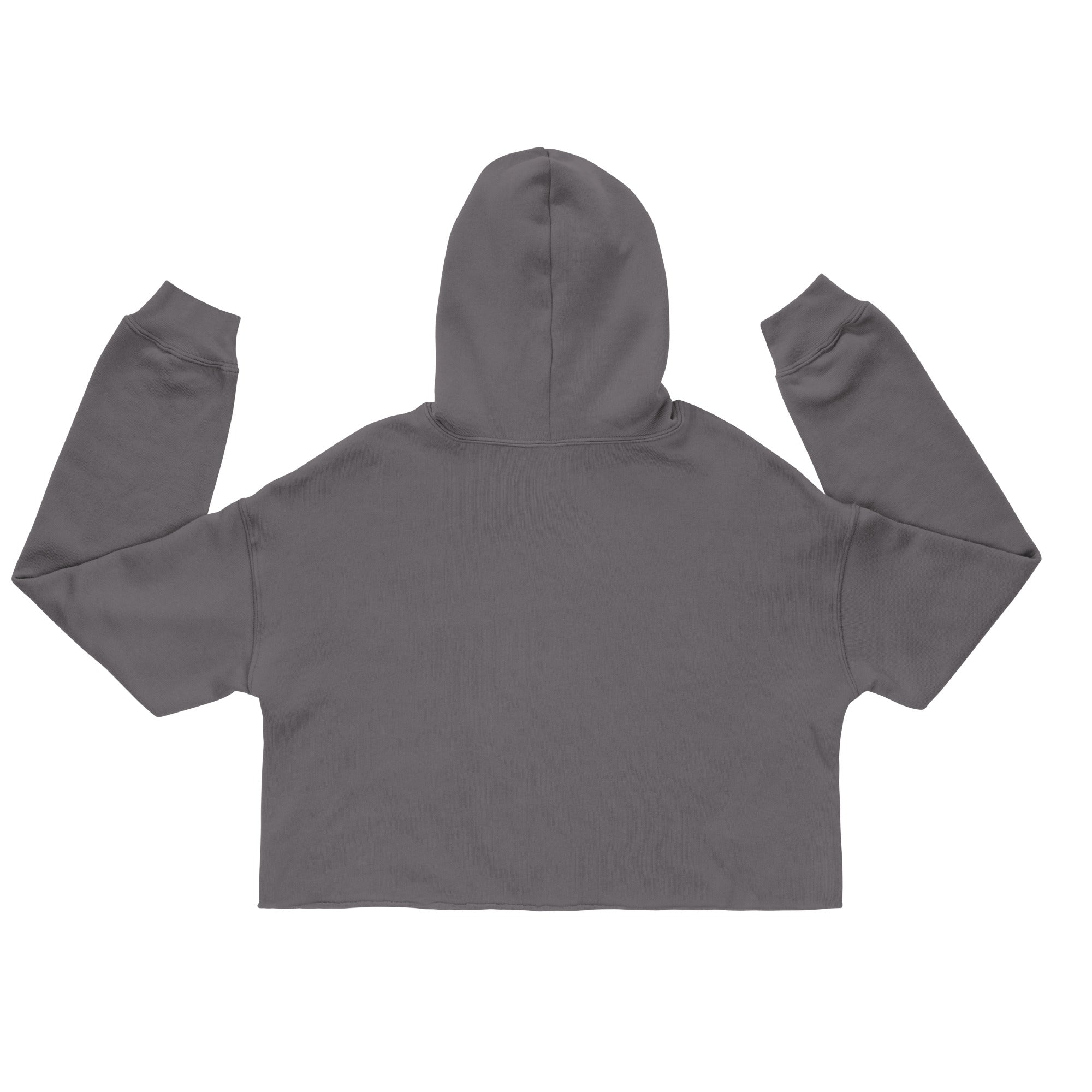 La vida es bella embroidered Crop Hoodie