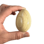 Wooden Egg Shakers – Natural Rhythm Eggs for Kids, Music Play & Eco Percussion by Music Frog Co