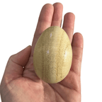 Wooden Egg Shakers – Natural Rhythm Eggs for Kids, Music Play & Eco Percussion by Music Frog Co