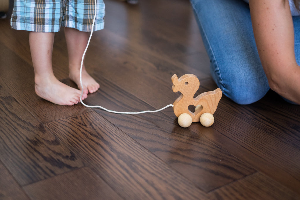 Duck Pull Along Toy
