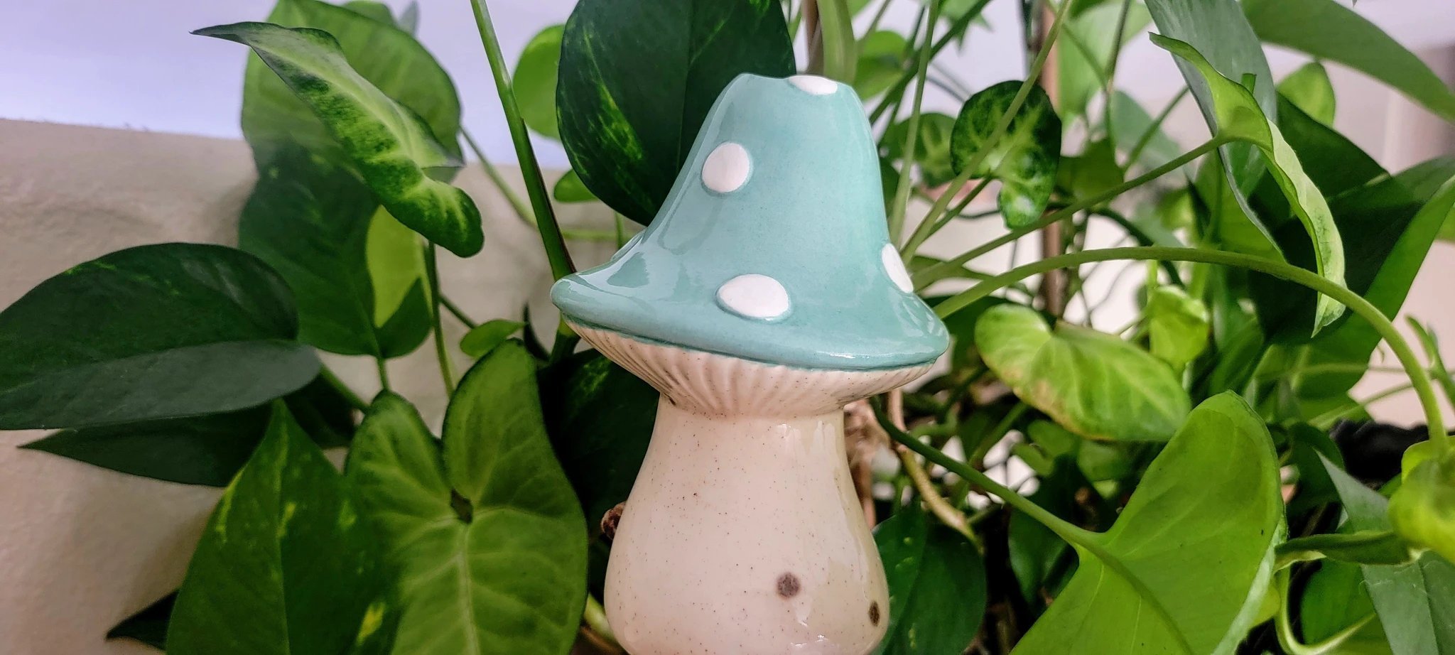 X - Large Toadstool Watering Spike