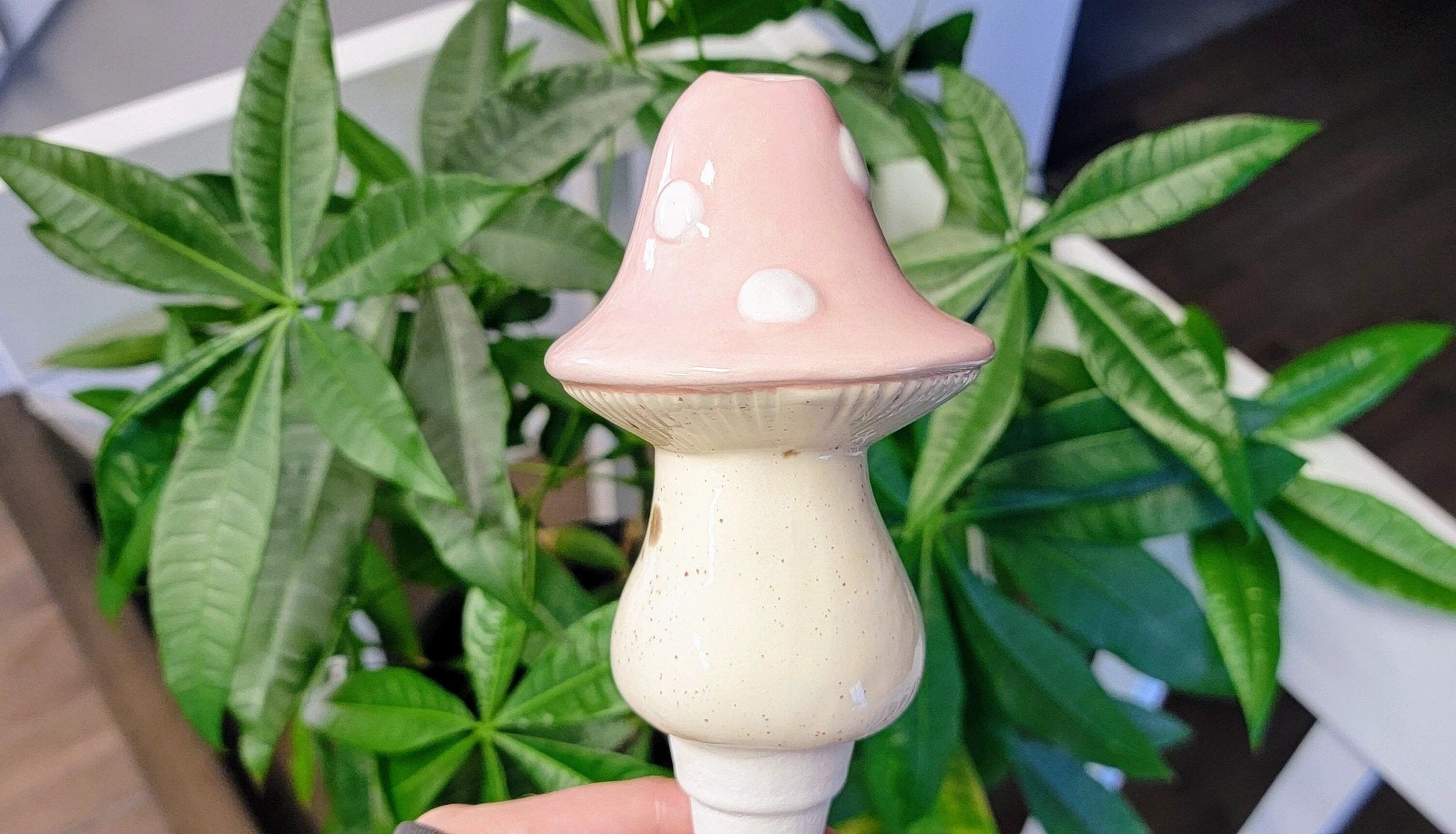X - Large Toadstool Watering Spike