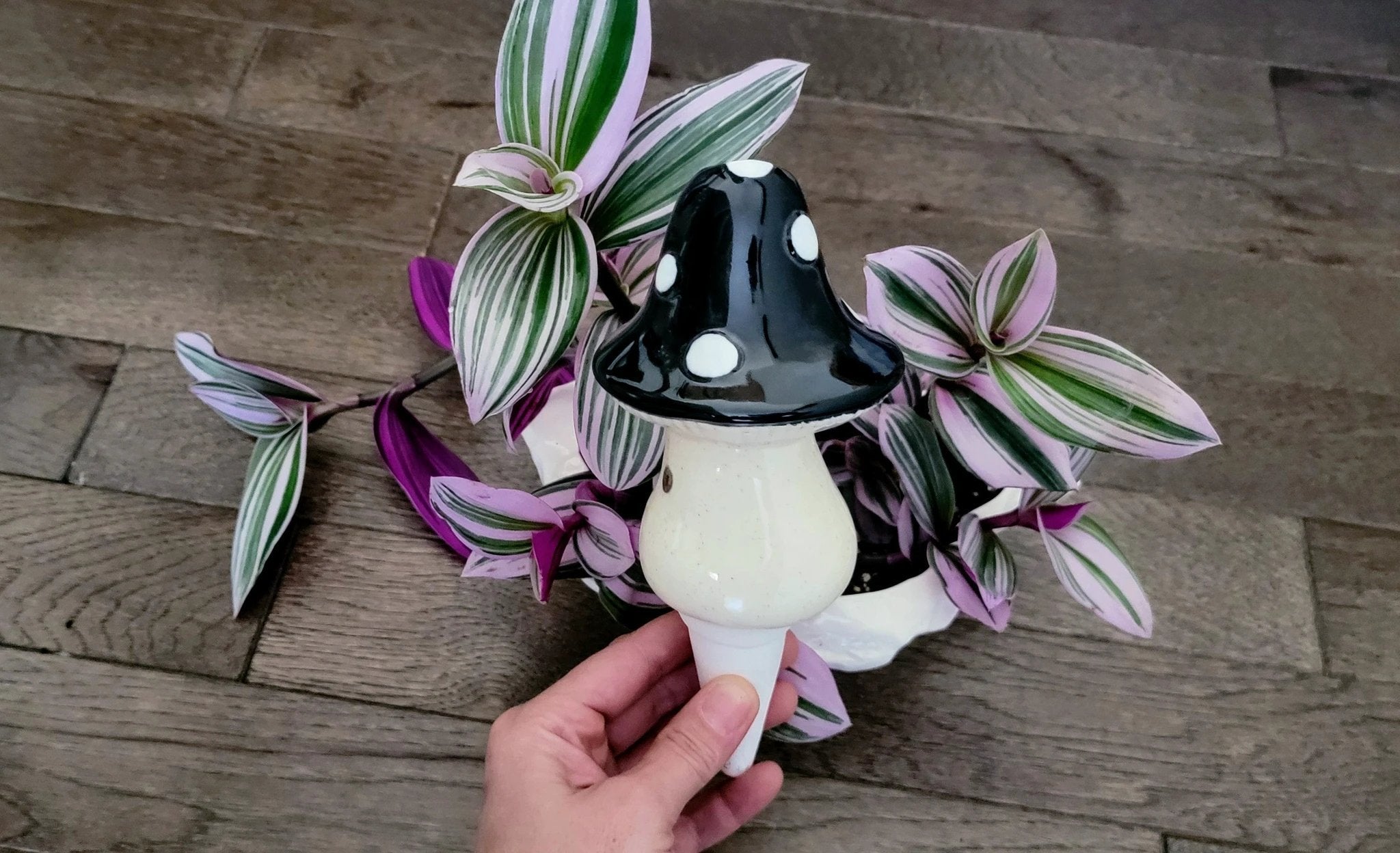 X - Large Toadstool Watering Spike