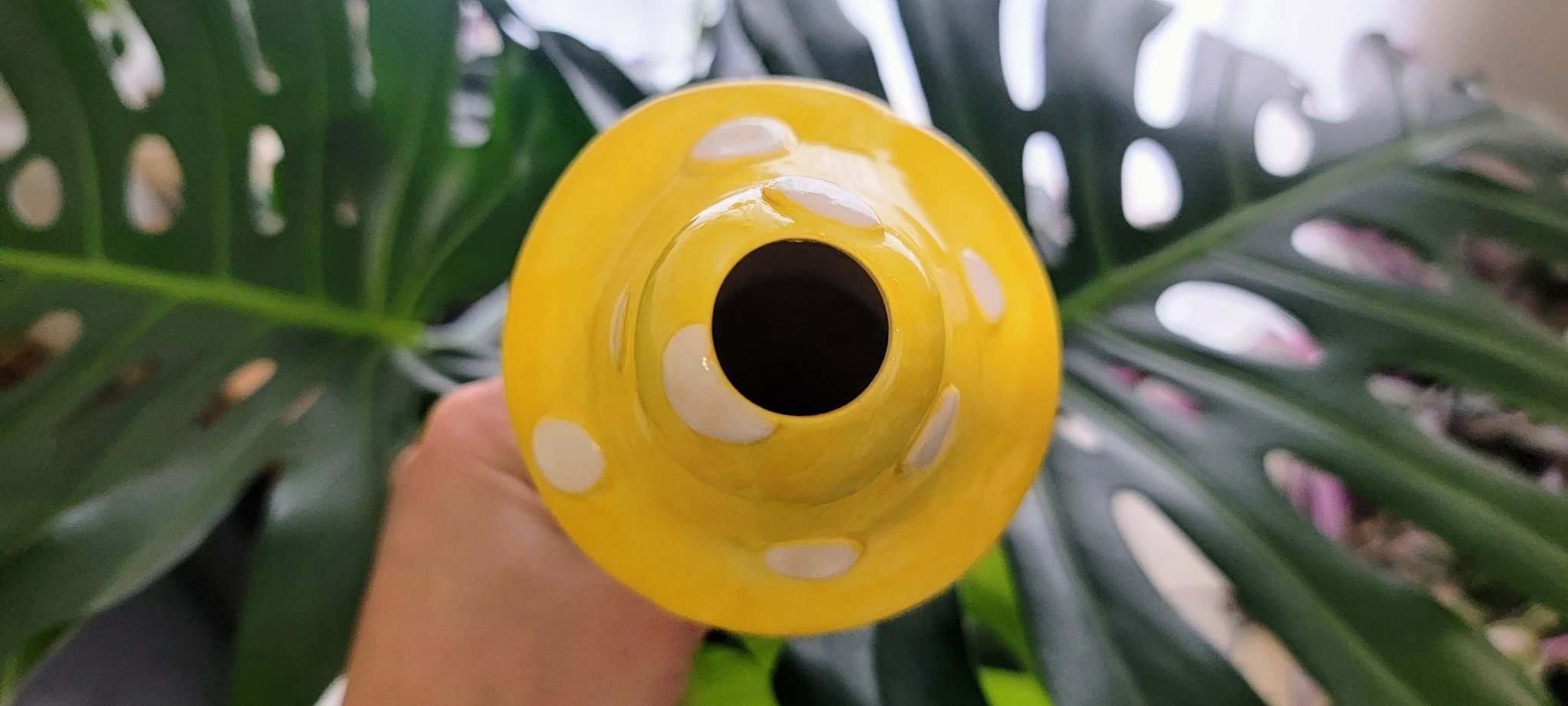 X - Large Toadstool Watering Spike