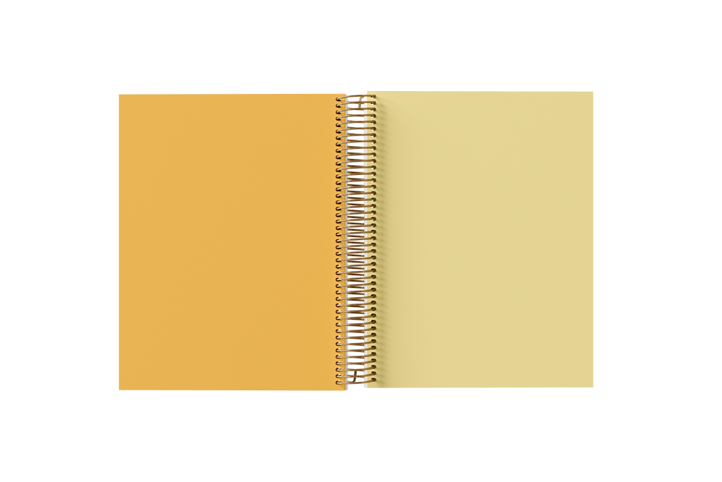 BLANK Paper Holographic Notebook by BERTEAU & Co.