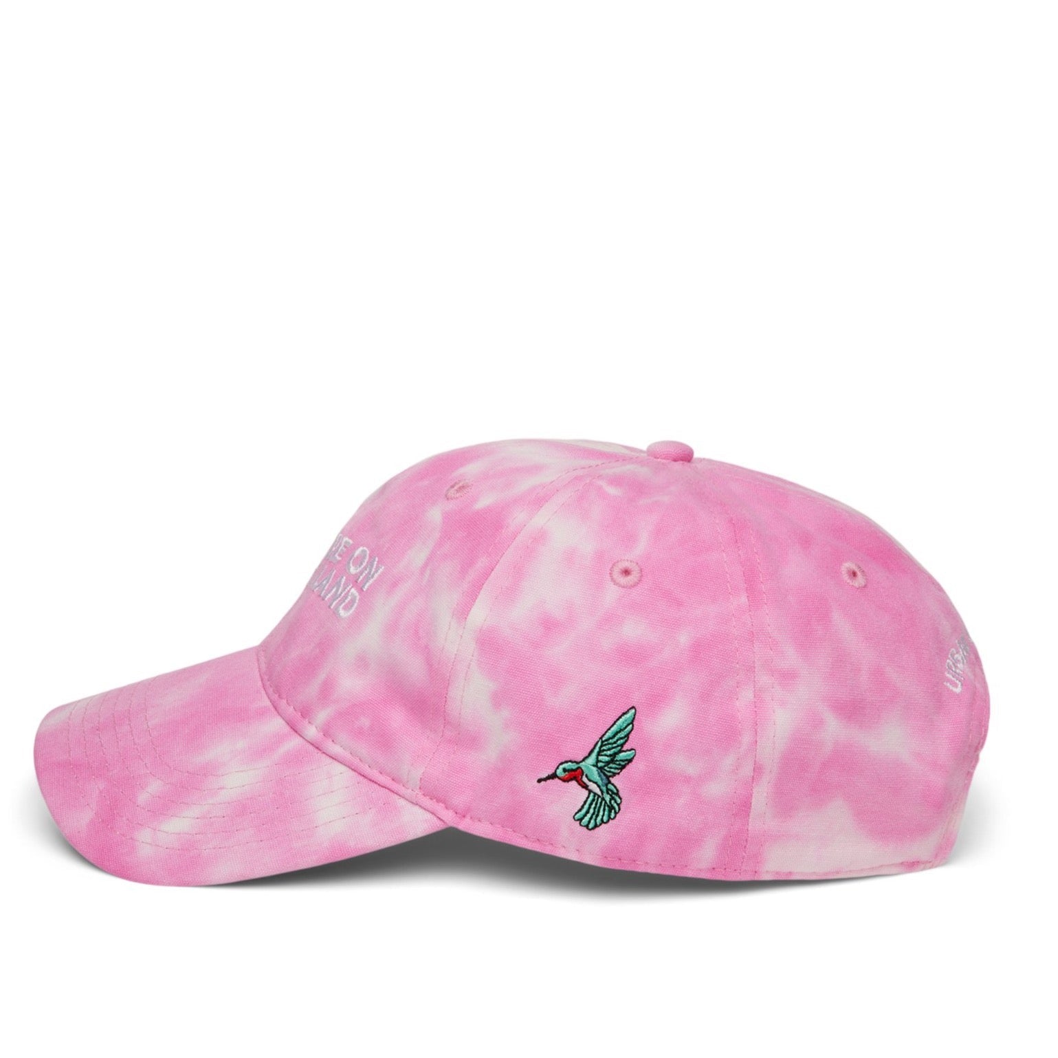 'YOU ARE ON NATIVE LAND' ORGANIC CAP by Urban Native Era