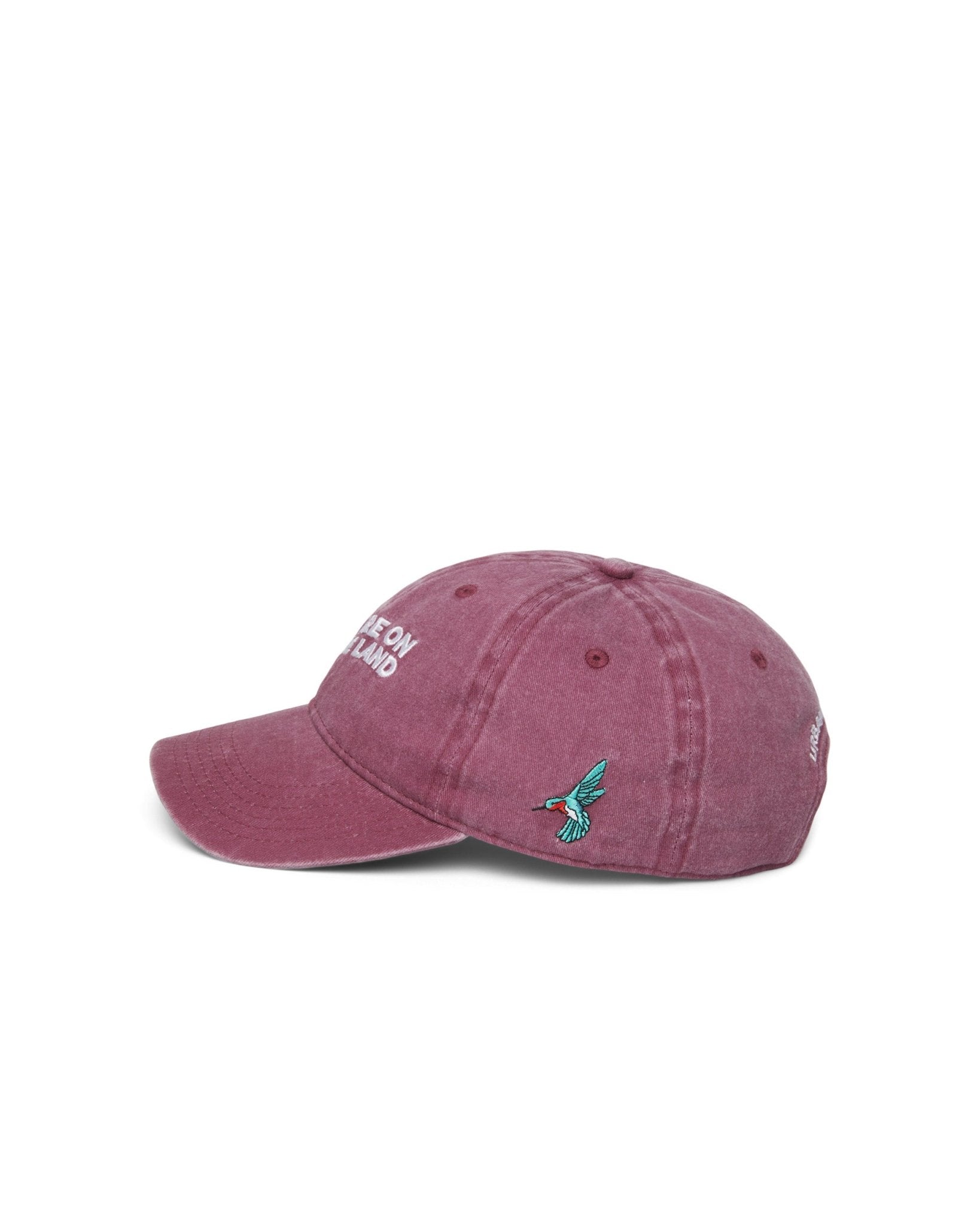 'YOU ARE ON NATIVE LAND' ORGANIC CAP by Urban Native Era