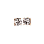 Zebra Stripes Square Stud Earrings by The Bullish Store