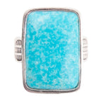 Zion Blue Turquoise and Sterling Silver Ring by Barse Jewelry